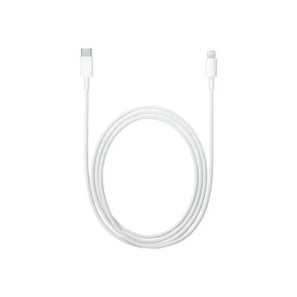 Apple USB-C to Lightning Cable - Lightning cable - Lightning / USB - 1 m