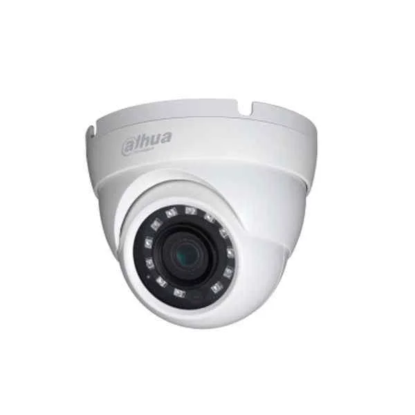 Dahua 2MP IP Cameras